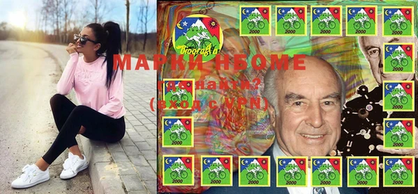 стаф Аркадак