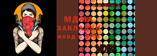 стаф Аркадак