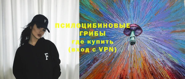 стаф Аркадак
