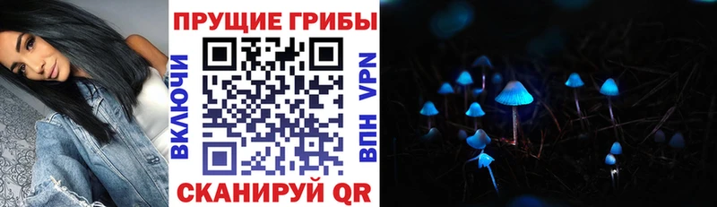 Галлюциногенные грибы Psilocybine cubensis  наркота  Чапаевск 